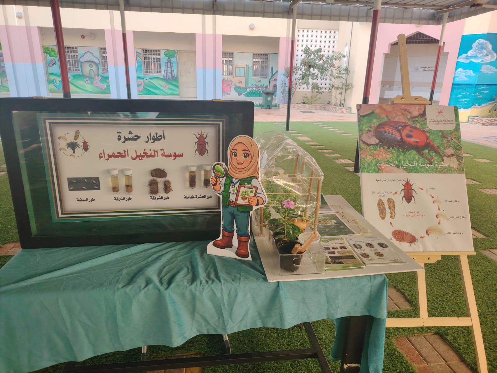فعالية بعنوان “خطواتي نحو المستقبل” بصحم